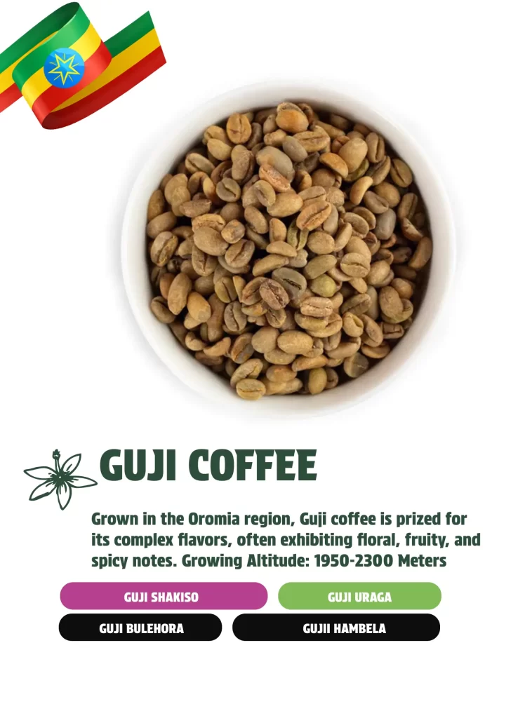GUJI ETHIOPIAN COFFEE