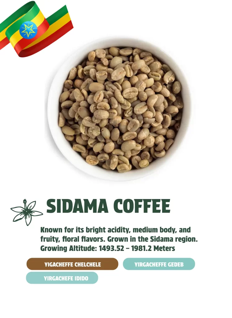 SIDAMA ETHIOPIAN COFFEE